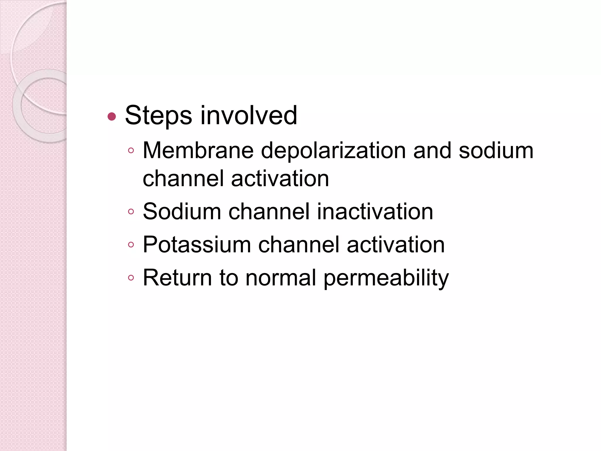  Steps involved 
◦ Membrane depolarization and sodium 
channel activation 
◦ Sodium channel inactivation 
◦ Potassium channel activation 
◦ Return to normal permeability 
 