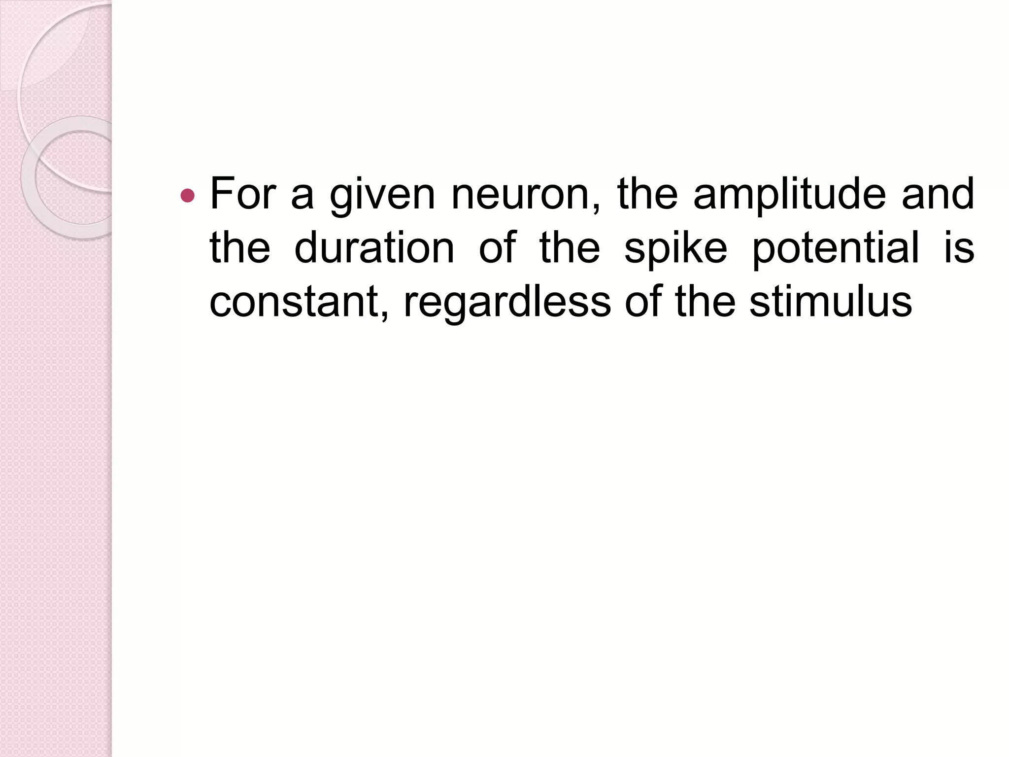  For a given neuron, the amplitude and 
the duration of the spike potential is 
constant, regardless of the stimulus 
 