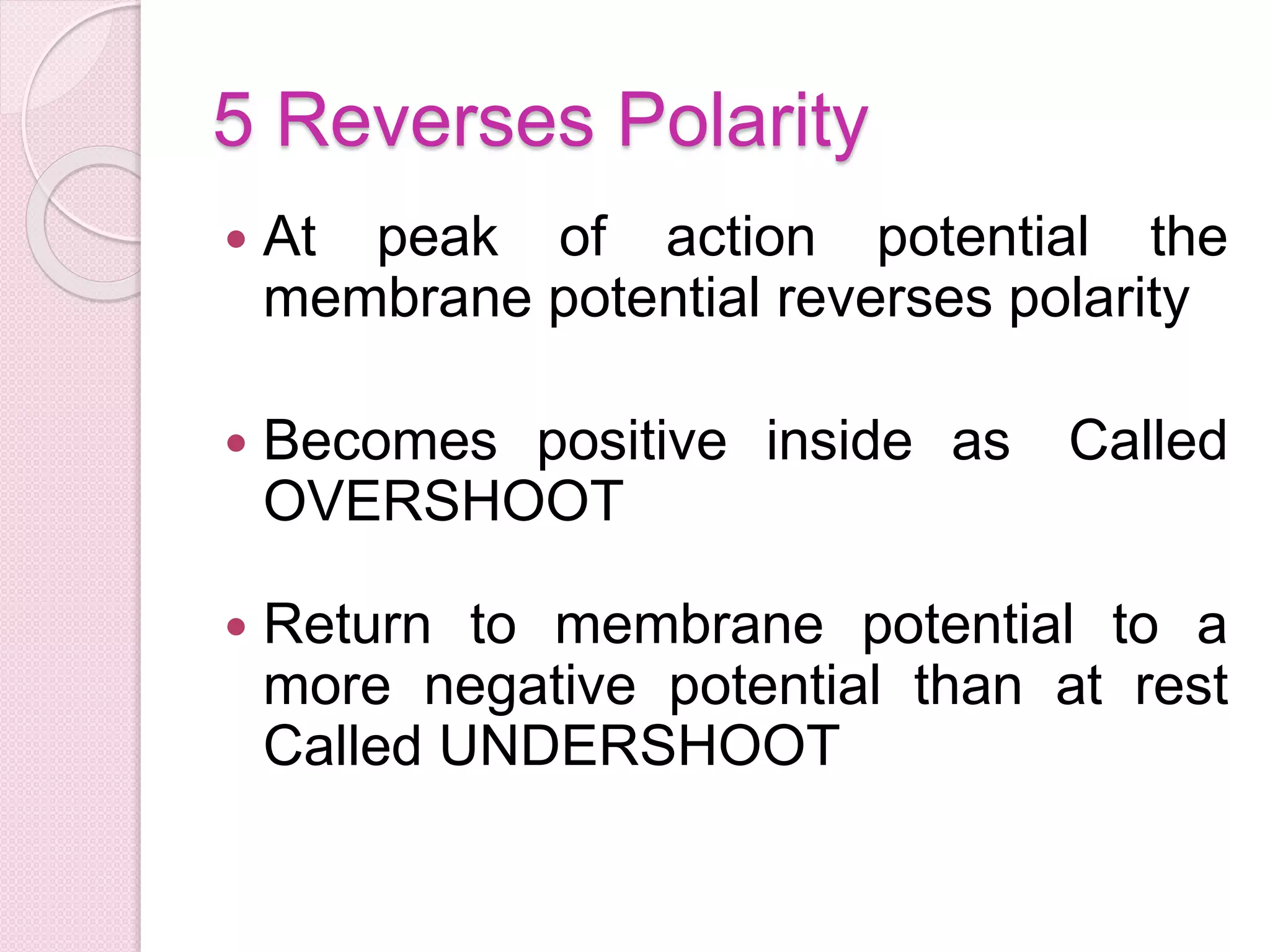 5 Reverses Polarity 
 At peak of action potential the 
membrane potential reverses polarity 
 Becomes positive inside as Called 
OVERSHOOT 
 Return to membrane potential to a 
more negative potential than at rest 
Called UNDERSHOOT 
 