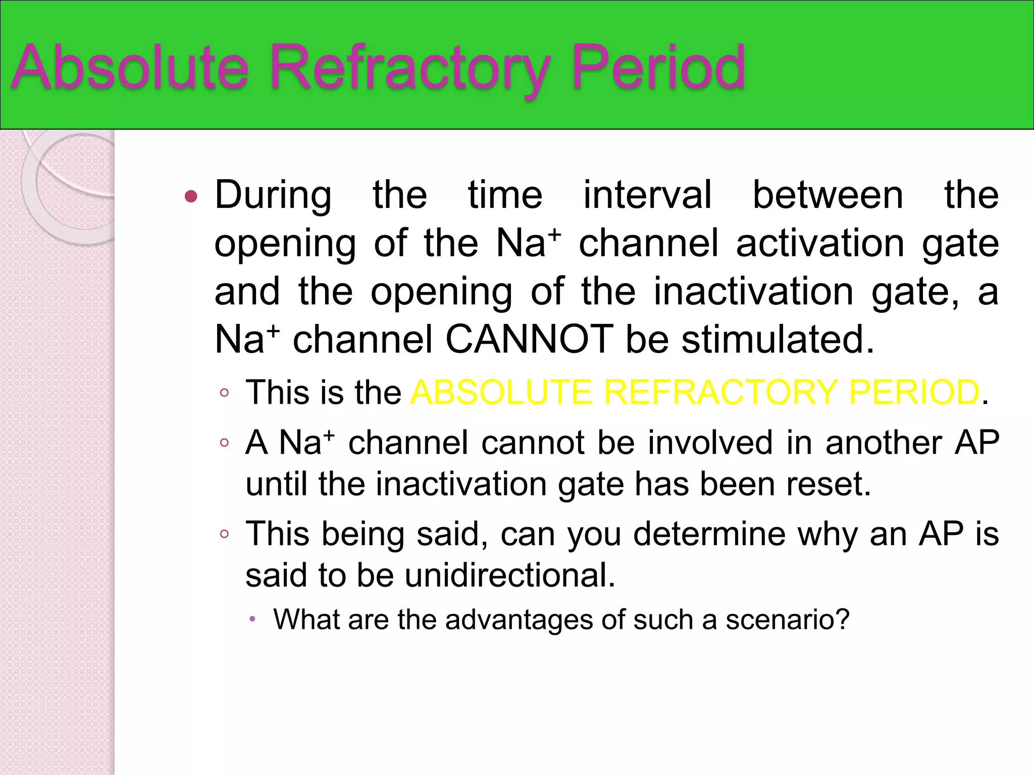 Absolute Refractory Period 
 During the time interval between the 
opening of the Na+ channel activation gate 
and the opening of the inactivation gate, a 
Na+ channel CANNOT be stimulated. 
◦ This is the ABSOLUTE REFRACTORY PERIOD. 
◦ A Na+ channel cannot be involved in another AP 
until the inactivation gate has been reset. 
◦ This being said, can you determine why an AP is 
said to be unidirectional. 
 What are the advantages of such a scenario? 
 
