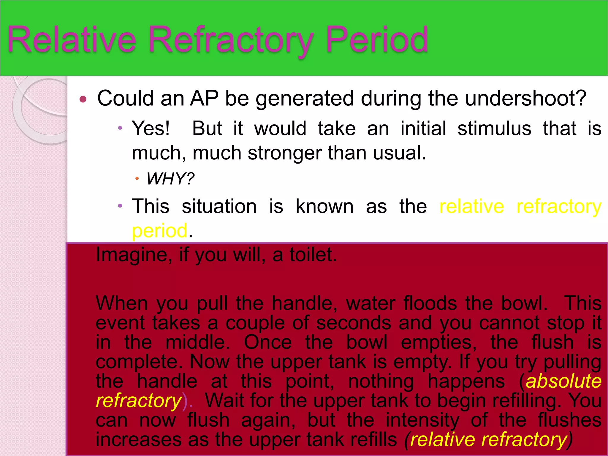 Relative Refractory Period 
 Could an AP be generated during the undershoot? 
 Yes! But it would take an initial stimulus that is 
much, much stronger than usual. 
 WHY? 
 This situation is known as the relative refractory 
period. 
Imagine, if you will, a toilet. 
When you pull the handle, water floods the bowl. This 
event takes a couple of seconds and you cannot stop it 
in the middle. Once the bowl empties, the flush is 
complete. Now the upper tank is empty. If you try pulling 
the handle at this point, nothing happens (absolute 
refractory). Wait for the upper tank to begin refilling. You 
can now flush again, but the intensity of the flushes 
increases as the upper tank refills (relative refractory) 
 