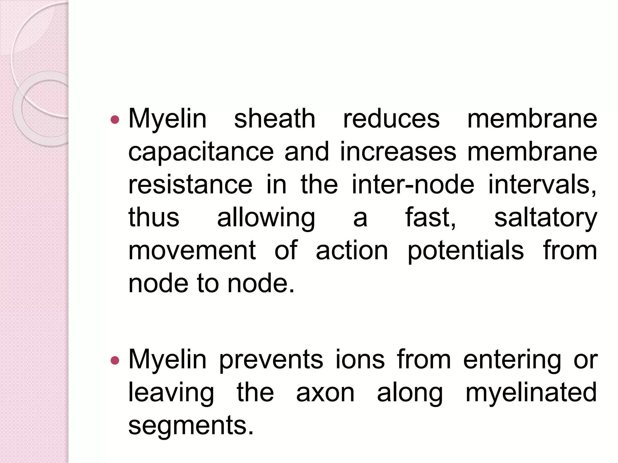  Myelin sheath reduces membrane 
capacitance and increases membrane 
resistance in the inter-node intervals, 
thus allowing a fast, saltatory 
movement of action potentials from 
node to node. 
 Myelin prevents ions from entering or 
leaving the axon along myelinated 
segments. 
 