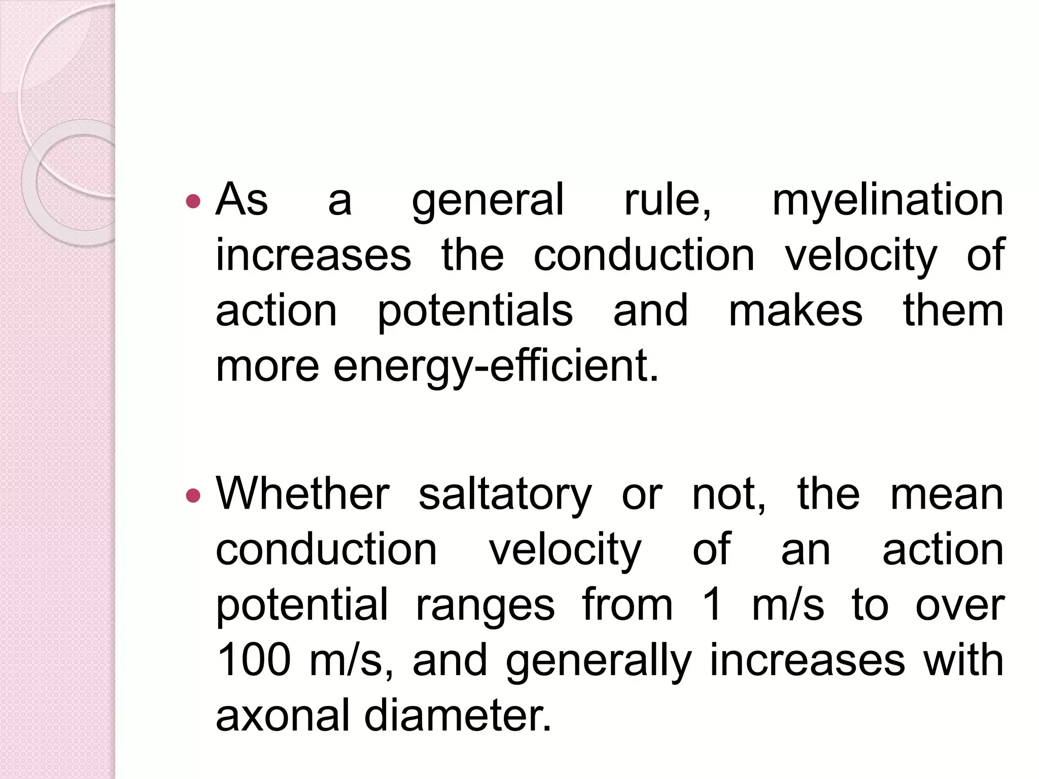  As a general rule, myelination 
increases the conduction velocity of 
action potentials and makes them 
more energy-efficient. 
 Whether saltatory or not, the mean 
conduction velocity of an action 
potential ranges from 1 m/s to over 
100 m/s, and generally increases with 
axonal diameter. 
 