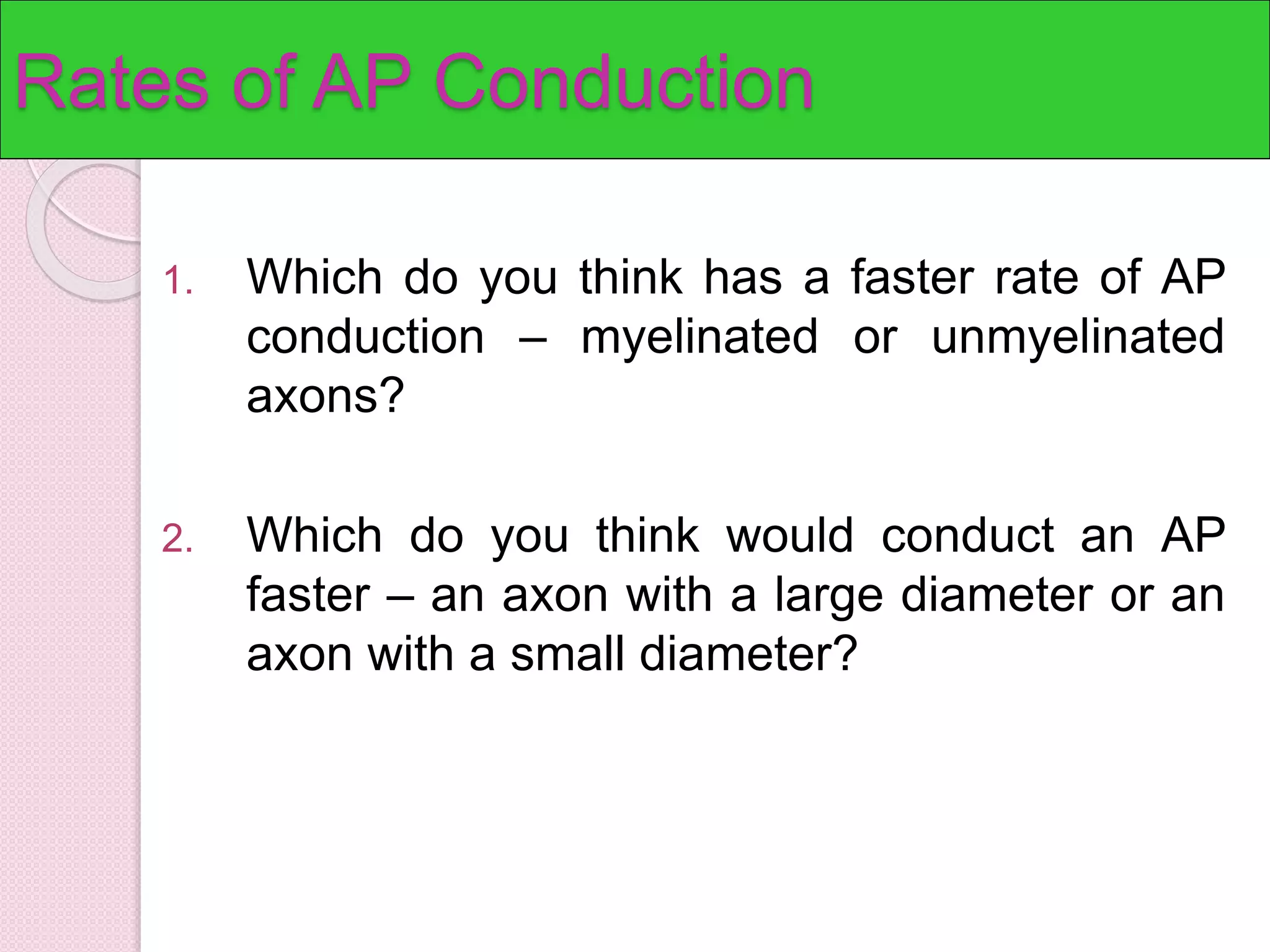 Rates of AP Conduction 
1. Which do you think has a faster rate of AP 
conduction – myelinated or unmyelinated 
axons? 
2. Which do you think would conduct an AP 
faster – an axon with a large diameter or an 
axon with a small diameter? 
 