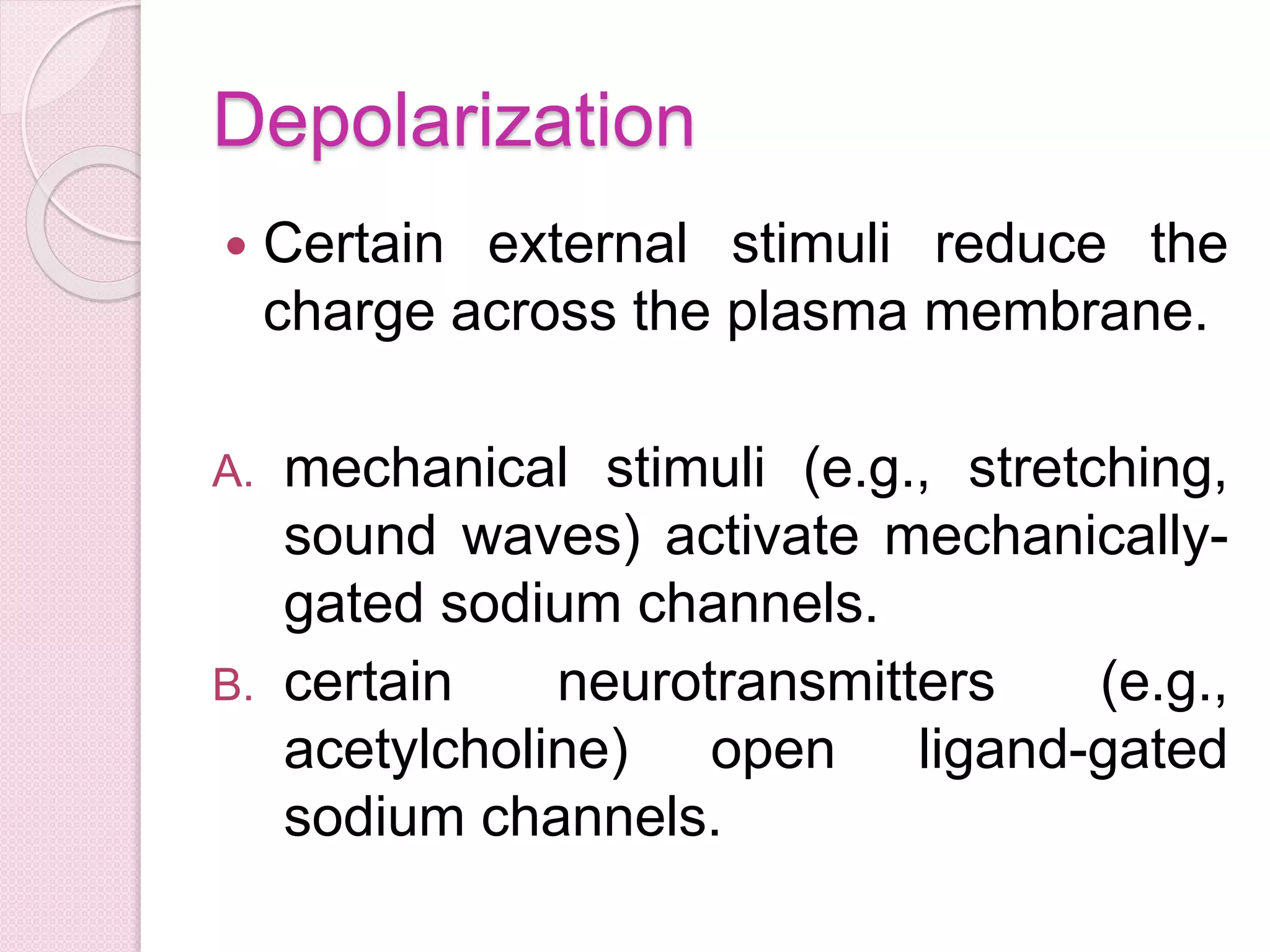 Depolarization 
 Certain external stimuli reduce the 
charge across the plasma membrane. 
A. mechanical stimuli (e.g., stretching, 
sound waves) activate mechanically-gated 
sodium channels. 
B. certain neurotransmitters (e.g., 
acetylcholine) open ligand-gated 
sodium channels. 
 