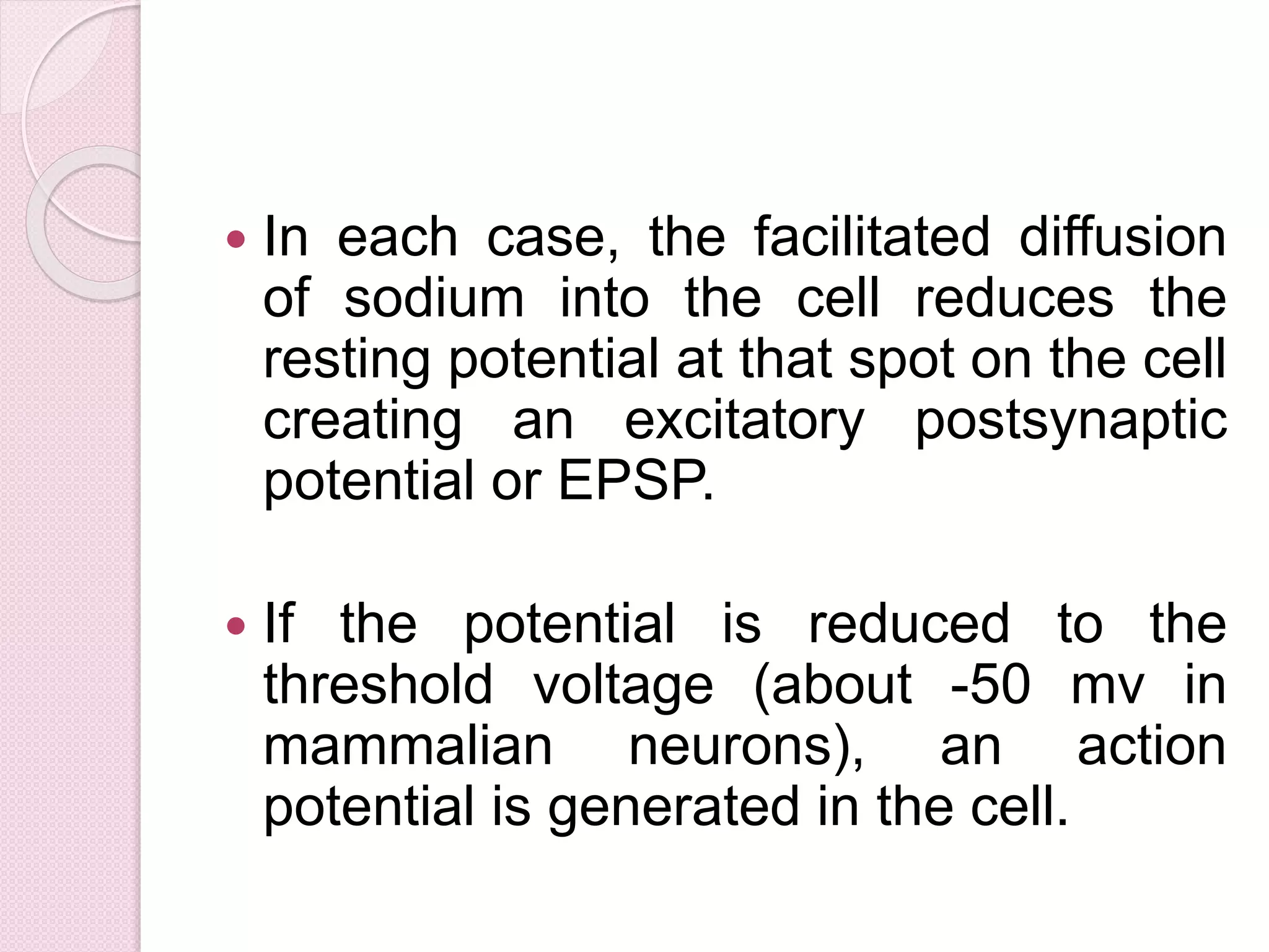  In each case, the facilitated diffusion 
of sodium into the cell reduces the 
resting potential at that spot on the cell 
creating an excitatory postsynaptic 
potential or EPSP. 
 If the potential is reduced to the 
threshold voltage (about -50 mv in 
mammalian neurons), an action 
potential is generated in the cell. 
 