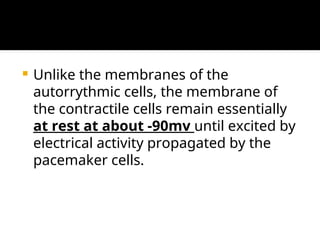 Comprehensive Overview of Cardiac Muscle Action Potentials and Auto ...