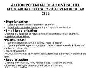 Comprehensive Overview of Cardiac Muscle Action Potentials and Auto ...