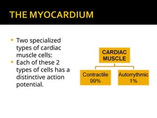 Comprehensive Overview of Cardiac Muscle Action Potentials and Auto ...