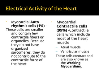 Comprehensive Overview of Cardiac Muscle Action Potentials and Auto ...