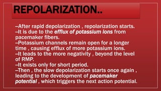 Action potential of heart | PPTX