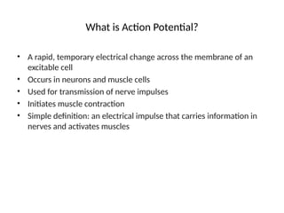 Action_Potential_Presentation_Simplified.pptx