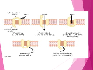 Action potential By Dr. Mrs. Padmaja R Desai | PPTX