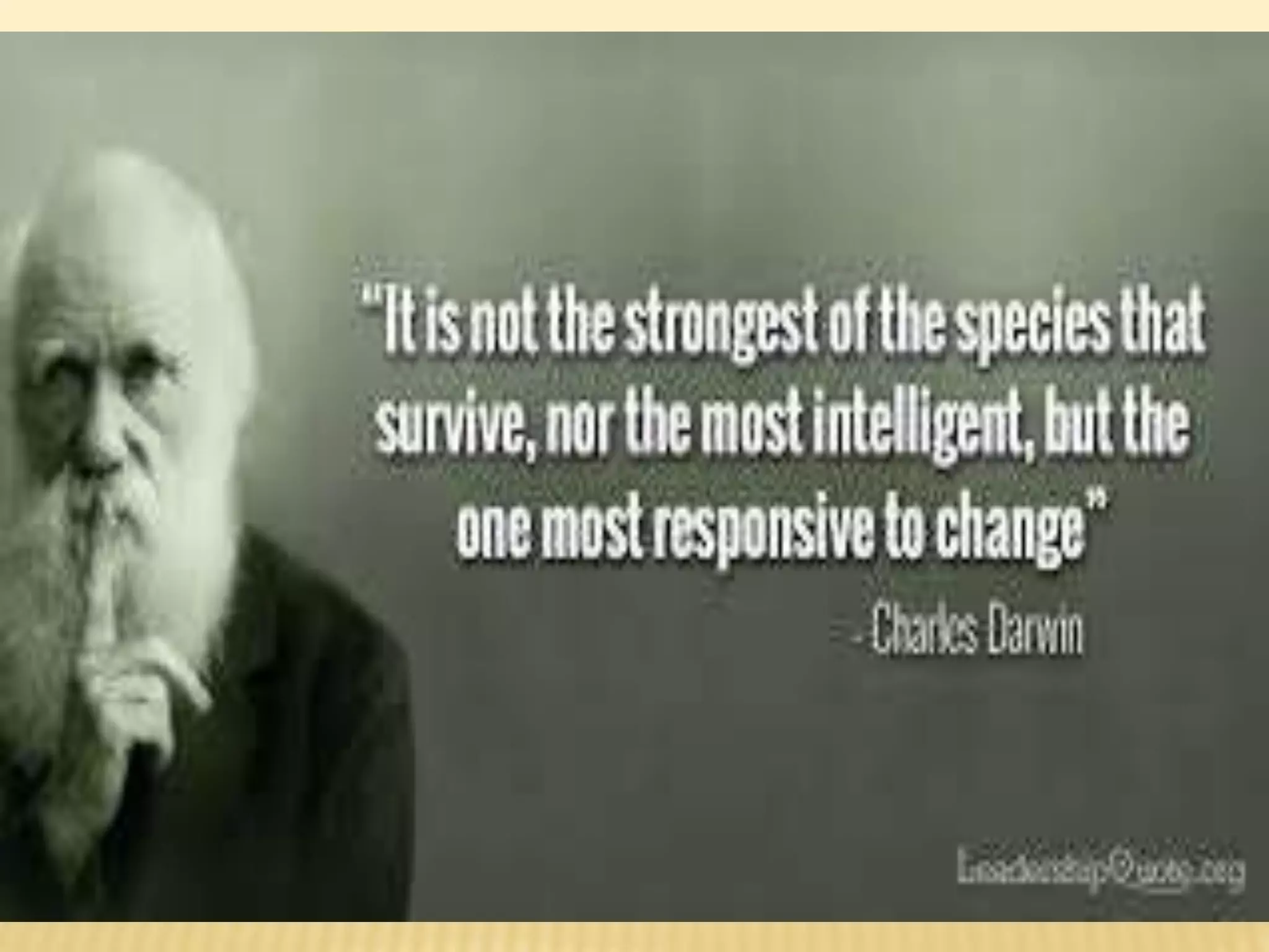 Action research workshop