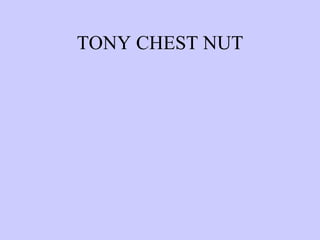 TONY CHEST NUT 
