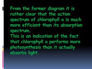 From the former diagram it is
rather clear that the action
spectrum of chlorophyll a is much
more efficient than its absorption
spectrum.
This is an indication of the fact
that chlorophyll a performs more
photosynthesis than it actually
absorbs light.
 