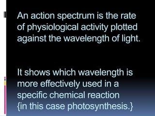 An action spectrum is the rate
of physiological activity plotted
against the wavelength of light.
It shows which wavelength is
more effectively used in a
specific chemical reaction
{in this case photosynthesis.}
 