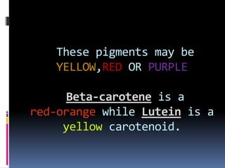 These pigments may be
YELLOW,RED OR PURPLE
Beta-carotene is a
red-orange while Lutein is a
yellow carotenoid.
 