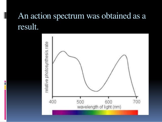 action spectrum action spectrum