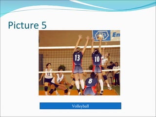 Picture 5 Volleyball 