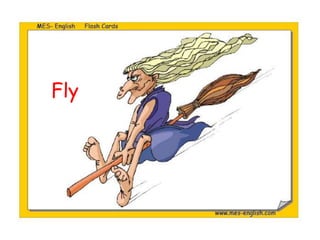 Fly