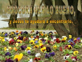 PROCURA VER LO BUENO, y Jesús te ayudará a encontrarlo.  