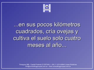 ...en sus pocos kilómetros cuadrados, cría ovejas y cultiva el suelo solo cuatro meses al año... 