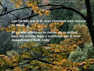 Las hierbas que le dí, eran vitaminas para mejorar  su salud.  El veneno estaba en su mente, en su actitud,  pero fue echado fuera y sustituido por el amor  que pasaste a darle a ella".  