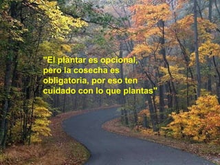 "El plantar es opcional,  pero la cosecha es  obligatoria, por eso ten  cuidado con lo que plantas"  