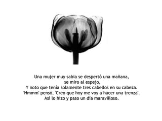                        Una mujer muy sabia se despertó una mañana,  se miro al espejo, Y noto que tenía solamente tres cabellos en su cabeza.  'Hmmm' pensó, 'Creo que hoy me voy a hacer una trenza'.   Así lo hizo y paso un día maravilloso.  