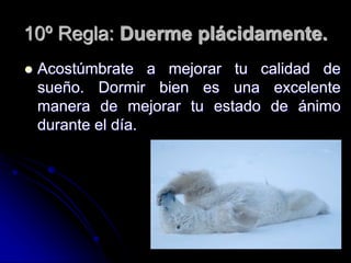 10º Regla: Duerme plácidamente.
 Acostúmbrate a mejorar tu calidad de
sueño. Dormir bien es una excelente
manera de mejorar tu estado de ánimo
durante el día.
 