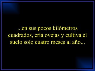 ...en sus pocos kilómetros cuadrados, cría ovejas y cultiva el suelo solo cuatro meses al año... 