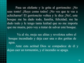 Pasa un elefante y le grita al gorrioncito: ¡No seas tonto! ¡Huye como todos! ¡No ves que te vas a achicharrar! El gorrioncito voltea y le dice ¡No!, este bosque me ha dado todo, familia, felicidad; me ha dado todo y le tengo tanta lealtad que no me importa que me muera, pero voy a tratar de salvar este bosque.    Ante esta actitud Dios se compadece de él y dejan caer un tormentón, y el incendio se apaga. Va al río, moja sus alitas y revolotea sobre el bosque incendiado y deja caer una o dos gotitas de agua. 