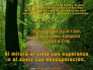 Visita: www.RenuevoDePlenitud.com
 