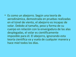 • Es como un abejorro. Según una teoría de
aerodinámica, demostrada en pruebas realizadas
en el túnel de viento, el abejorro es incapaz de
volar. Debido al tamaño, peso y forma de su
cuerpo en relación con la envergadura de las alas
desplegadas, el volar es científicamente
imposible para él. El abejorro, ignorando esta
teoría científica va y vuela de cualquier manera y
hace miel todos los días.
 