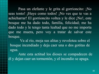 Pasa un elefante y le grita al gorrioncito: ¡No seas tonto! ¡Huye como todos! ¡No ves que te vas a achicharrar! El gorrioncito voltea y le dice ¡No!, este bosque me ha dado todo, familia, felicidad; me ha dado todo y le tengo tanta lealtad que no me importa que me muera, pero voy a tratar de salvar este bosque.    Ante esta actitud los dioses se compadecen de él y dejan caer un tormentón, y el incendio se apaga. Va al río, moja sus alitas y revolotea sobre el bosque incendiado y deja caer una o dos gotitas de agua. 