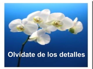 Olvídate de los detalles
 
