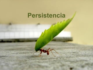 Persistencia
 