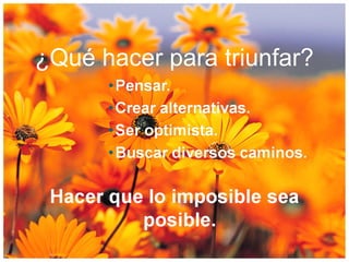 ¿Qué hacer para triunfar?
 