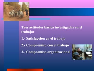 Tres actitudes básica investigadas en el
trabajo:
1.- Satisfacción en el trabajo
2.- Compromiso con el trabajo
3.- Compromiso organizacional
 