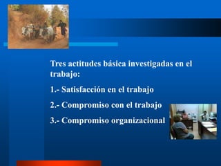 Tres actitudes básica investigadas en el trabajo: 1.- Satisfacción en el trabajo2.- Compromiso con el trabajo3.- Compromiso organizacional 