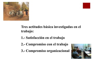 Tres actitudes básica investigadas en el
trabajo:
1.- Satisfacción en el trabajo
2.- Compromiso con el trabajo
3.- Compromiso organizacional
 