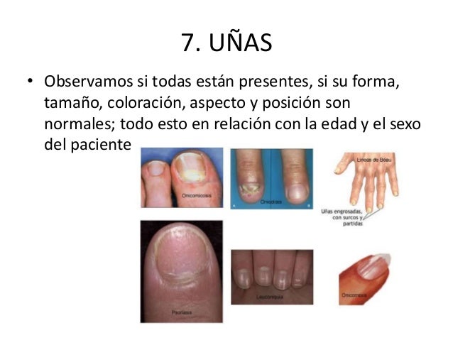 Tal pequeño pisya que el miembro no entra