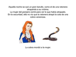 Aquella noche se oyó un gran barullo, como el de una ratonera
                     atrapando a su víctima.
  La mujer del granjero corrió para ver lo que había atrapado.
En la oscuridad, ella no vio que la ratonera atrapó la cola de una
                         cobra venenosa.




                   La cobra mordió a la mujer.
 