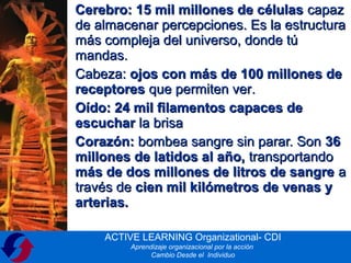• Cerebro: 15 mil millones de células capaz
  de almacenar percepciones. Es la estructura
  más compleja del universo, donde tú
  mandas.
• Cabeza: ojos con más de 100 millones de
  receptores que permiten ver.
• Oído: 24 mil filamentos capaces de
  escuchar la brisa
• Corazón: bombea sangre sin parar. Son 36
  millones de latidos al año, transportando
  más de dos millones de litros de sangre a
  través de cien mil kilómetros de venas y
  arterias.

      ACTIVE LEARNING Organizational- CDI
           Aprendizaje organizacional por la acción
                 Cambio Desde el Individuo
 