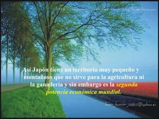 Así Japón tiene un territorio muy pequeño y
montañoso que no sirve para la agricultura ni
la ganadería y sin embargo es la segunda
potencia económica mundial.
 