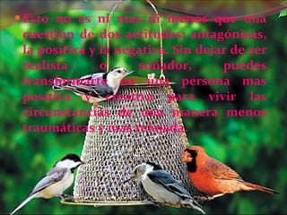 Esto no es ni mas ni menos que una cuestión de dos actitudes: antagónicas, la positiva y la negativa. Sin dejar de ser realista o soñador, puedes transformarte en una persona mas positiva y creativa para vivir las circunstancias de una manera menos traumáticas y mas relajada. 