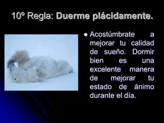 10º Regla: Duerme plácidamente.
                  Acostúmbrate      a
                   mejorar tu calidad
                   de sueño. Dormir
                   bien     es     una
                   excelente manera
                   de    mejorar    tu
                   estado de ánimo
                   durante el día.
 