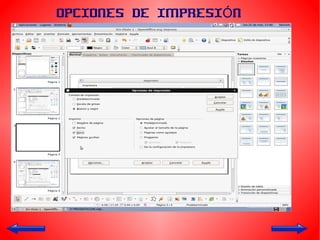 OPCIONES DE IMPRESIÓN 