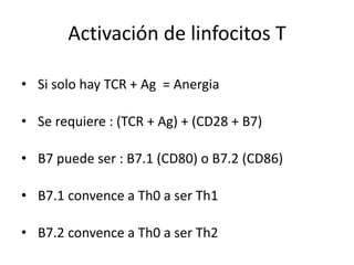 Activación de linfocitos T

• Si solo hay TCR + Ag = Anergia

• Se requiere : (TCR + Ag) + (CD28 + B7)

• B7 puede ser : B7.1 (CD80) o B7.2 (CD86)

• B7.1 convence a Th0 a ser Th1

• B7.2 convence a Th0 a ser Th2
 